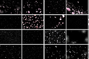 White and Pink Petals Overlays, an Action Add-On by MixPixBox (Thumbnail 6 of 6)