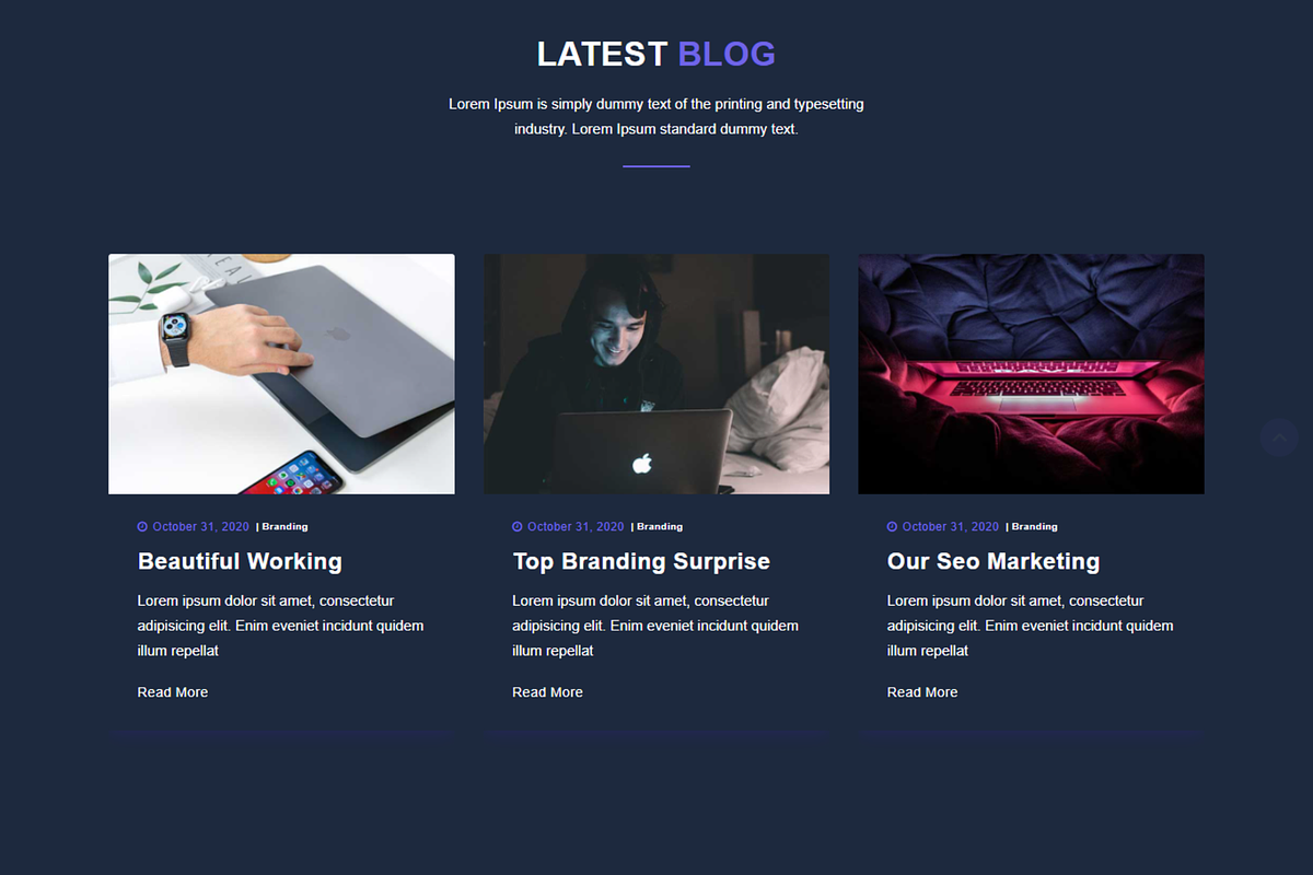 Dark Portfolio CV HTML Template, a Bootstrap Template by Themeplaza (Photo 5 of 6)