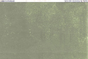 Succulent Solid Digital Backgrounds, a Texture Graphic by Carrie Stephens Art (Thumbnail 7 of 7)