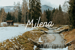 Milena Monoline Script