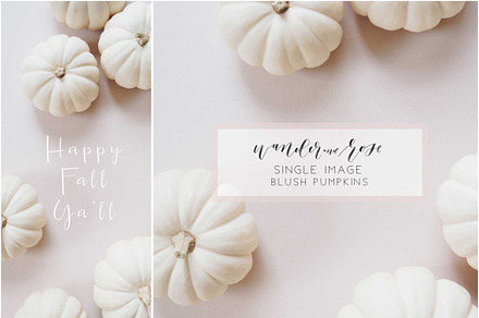 Blush Fall Pumpkins Styled Stock 