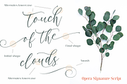 Opera Signature | Font Duo, a Serif Font by Larin Type Co. (Thumbnail 6 of 15)
