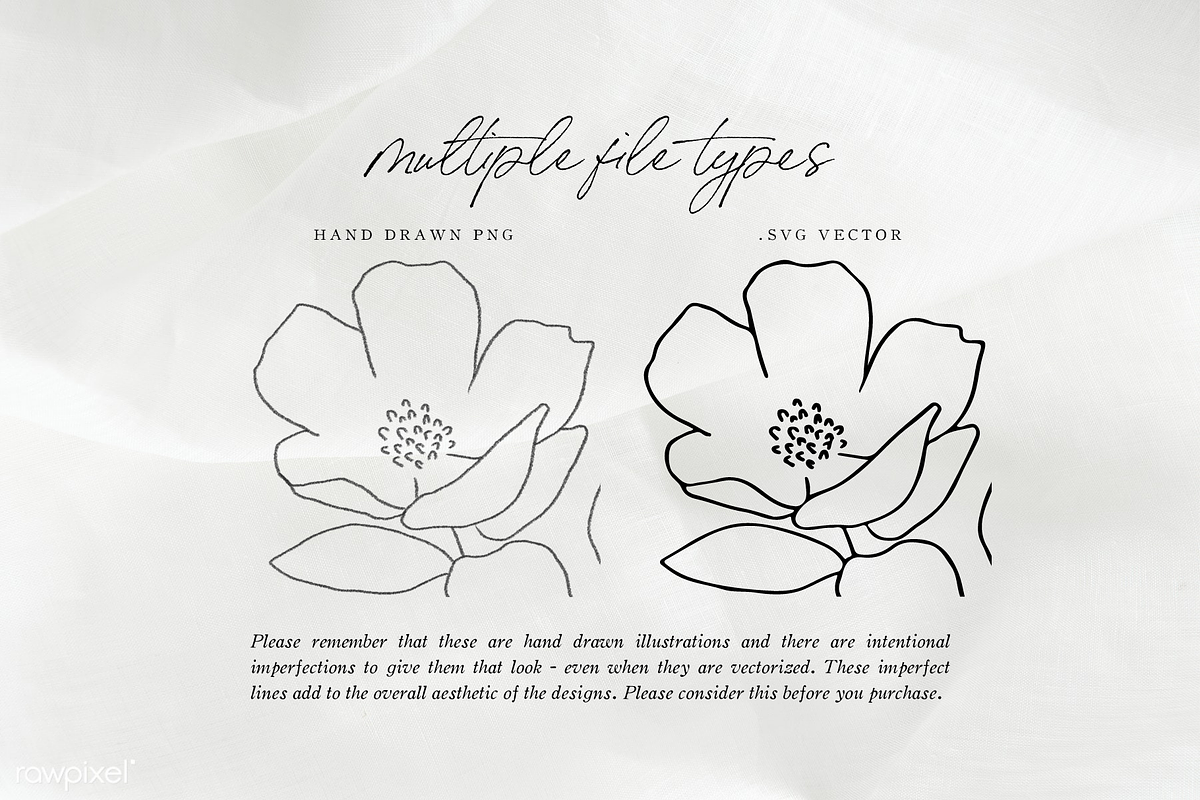 Hand Drawn Botanical Logo & Branding, a Texture Illustration by FEM Creative Studio (Photo 7 of 7)
