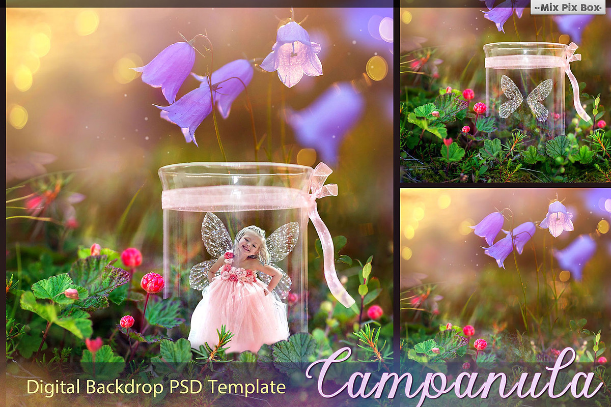 Campanula Digital backdrop