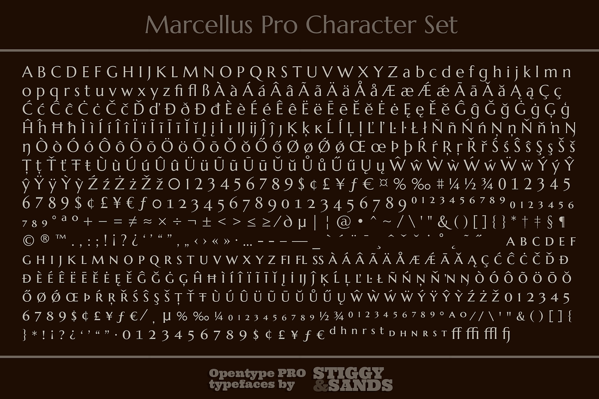 Marcellus Pro, a Serif Font by Stiggy & Sands (Photo 9 of 9)