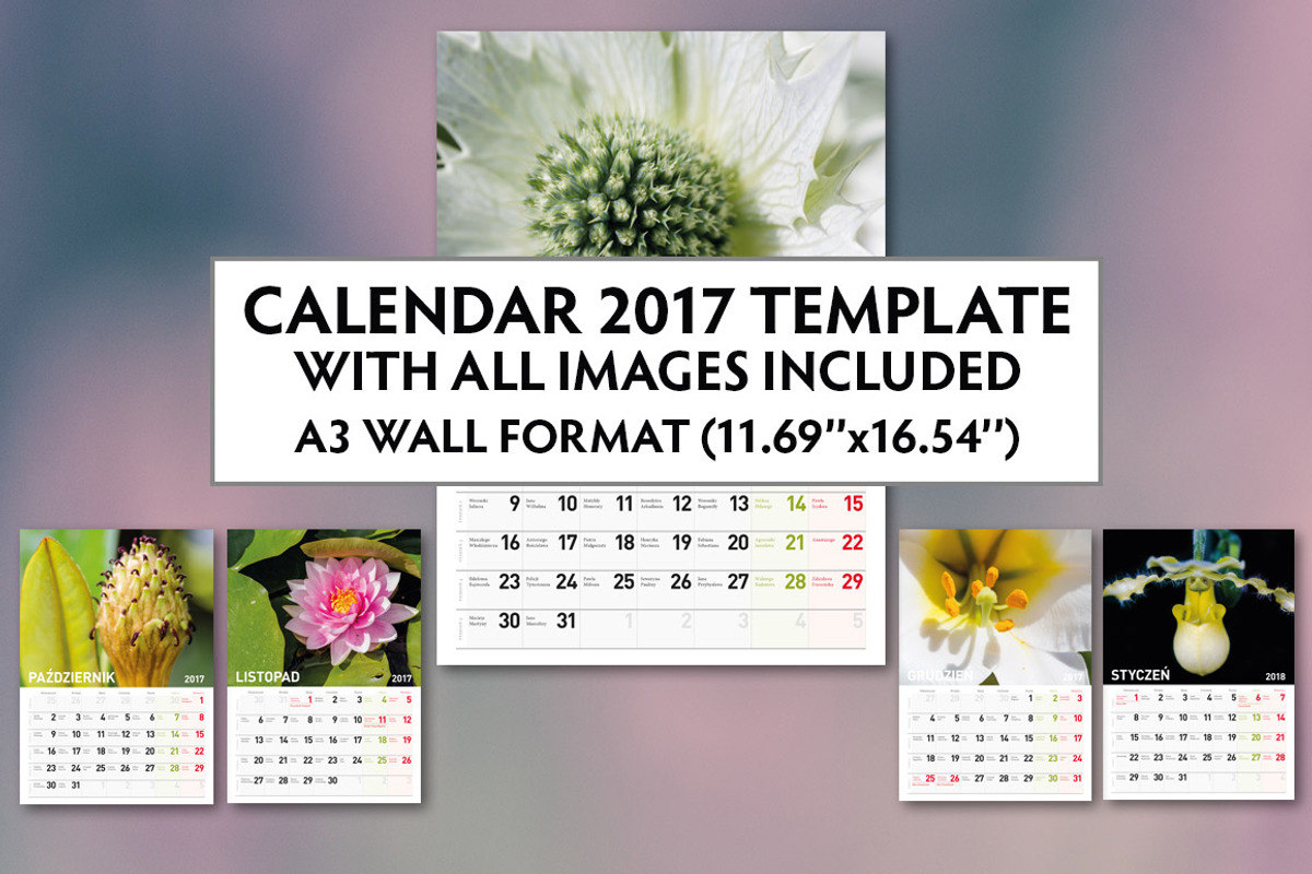 Calendar 2017 images included, a Brochure Template by Feelings (Photo 1 of 2)