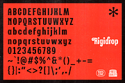 Rigidrop - Retro Ornamental Fonts, a Serif Font by Konstantine Studio (Thumbnail 4 of 4)
