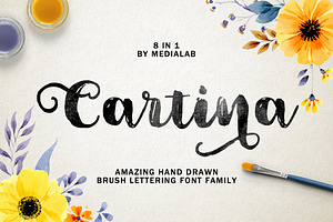 Cartina 8 In 1 Script