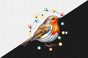 Christmas Robin Bird PNG Clipart, an Illustration by Creative Art (Thumbnail 7 of 10)