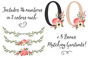 Coral Wedding Flower Numbers, an Illustration by Amanda Ilkov (Thumbnail 3 of 5)