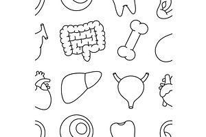 Organs outline pattern. Human, an Object Illustration by GraphiShop
