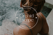 Rosvella Serif, a Serif Font by Prestige Artsy Studio (Thumbnail 6 of 11)