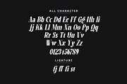 Flumine, a Serif Font by Zelda Graphic (Thumbnail 4 of 7)