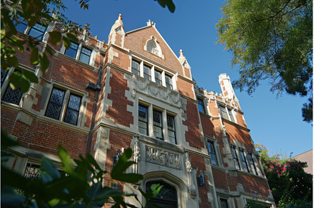 Beautiful ornate facade of a brick, an Architecture Photo by Ylivdesign