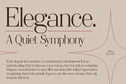 Delcy – Elegant Serif, a Font by Craft Supply Co. (Thumbnail 7 of 8)