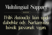Sinvia, a Serif Font by saemoon creative (Thumbnail 12 of 15)