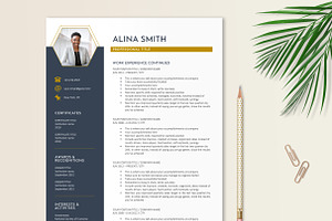 Resume Template Navy Gold