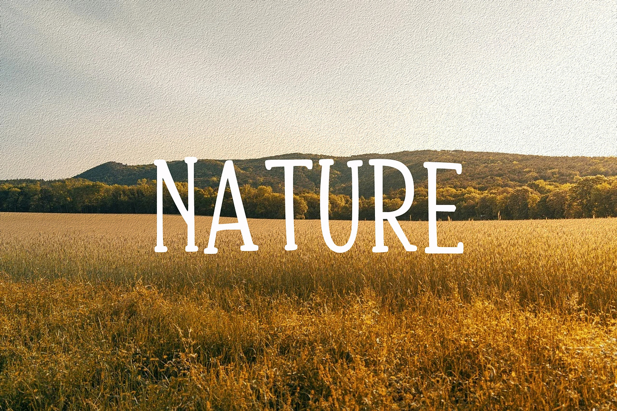 SUMMER MORNING, a Handwritten Font by Fourteen Letter (Photo 7 of 10)