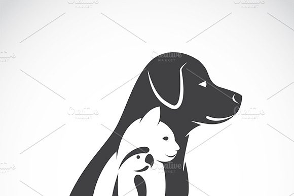 Vector Of Dog Cat And Bird. Pet.