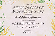 Goldie Script, a Script Font by Straight.co (Thumbnail 5 of 7)