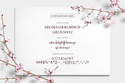 Storyland Font & Toolkit, a Script Font by Graphicdome (Thumbnail 4 of 21)
