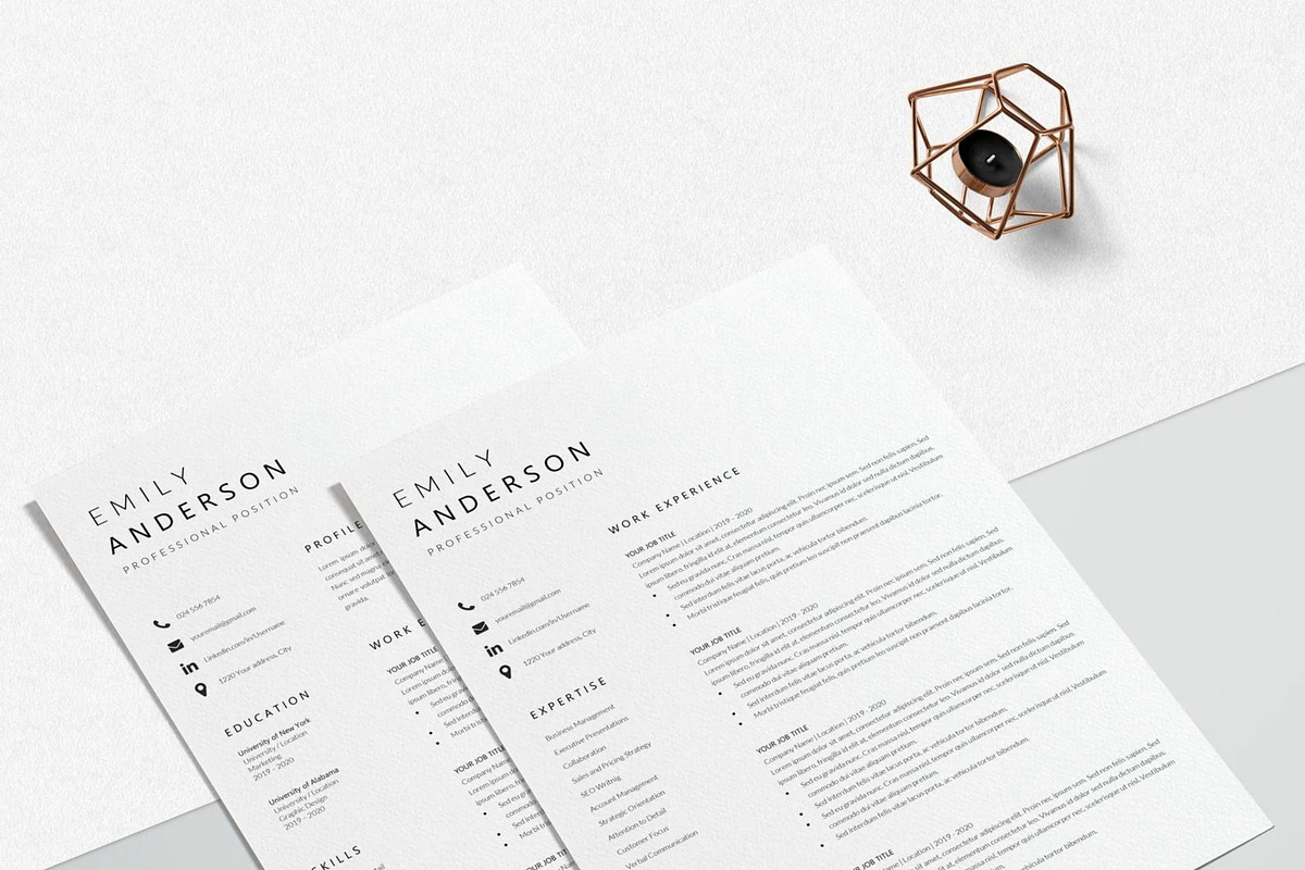 Basic CV Template Word, a Resume Template by LucaTheme (Photo 6 of 10)