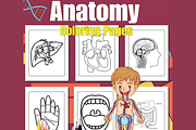 Anatomy Coloring Pages for kids, an Education Illustration by Sourcedigi (Thumbnail 1 of 3)