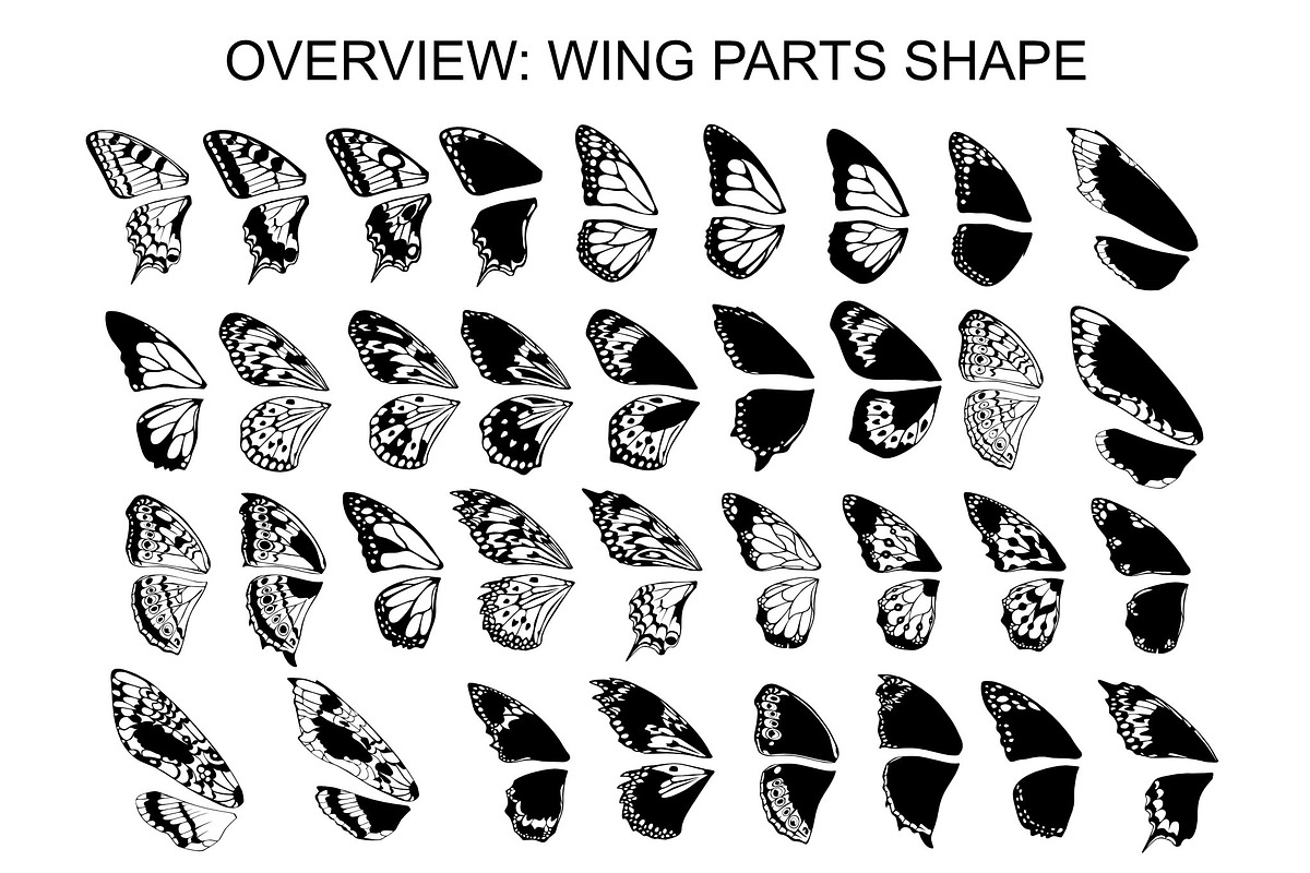 Wings & Butterfly(SVG, PNG Brushes), a Brush Add-On by xresch (Photo 22 of 22)