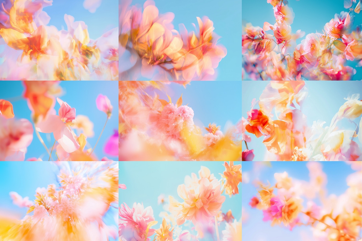 Dreamlike Floral Bloom Backgrounds, a Wallpaper Graphic by HipFonts