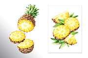 Tropical Pineapple. Hand painted, a Food Illustration by Daria Ustiugova (Thumbnail 8 of 28)