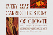 Vesora || Modern Classy Serif Font, a Serif Font by Ermedia Studio (Thumbnail 8 of 10)