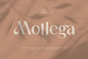 Mollega || Minimalist Sans Serif, a Sans Serif Font by Ermedia Studio (Thumbnail 1 of 10)