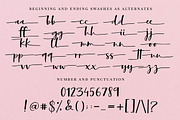 Manifestations Script Font, a Script Font by theinkaffair (Thumbnail 9 of 11)