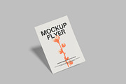 Single Flyer Floating Set, a Books & Magazine Mockup by Lxadesign (Thumbnail 10 of 10)