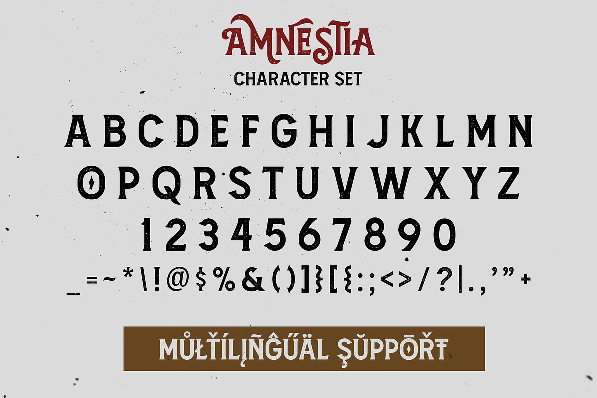 Amnestia Typeface with Extra, a Serif Font by Arterfak Project (Photo 14 of 16)