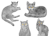 Watercolor Cat & Dog Illustration, an Animal Illustration by ArtbyHien (Thumbnail 6 of 7)
