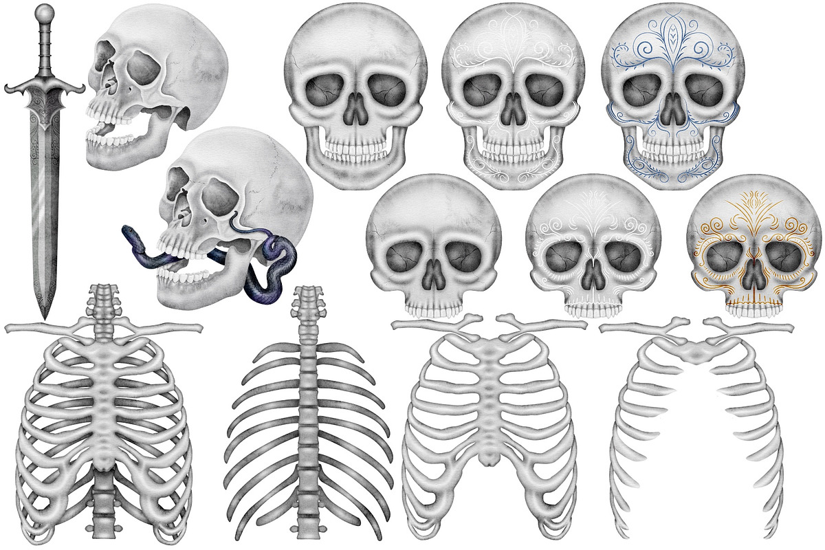Halloween Botanicals Clipart set., a Seasonal Illustration by Happy Sloth Graphics (Photo 8 of 16)