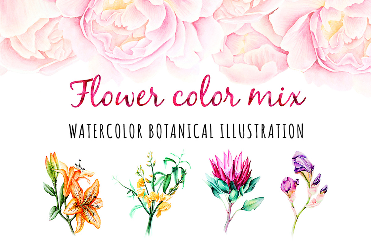 5 illustrations flower color mix, a Decorative Illustration by Integrity_store (Photo 1 of 11)