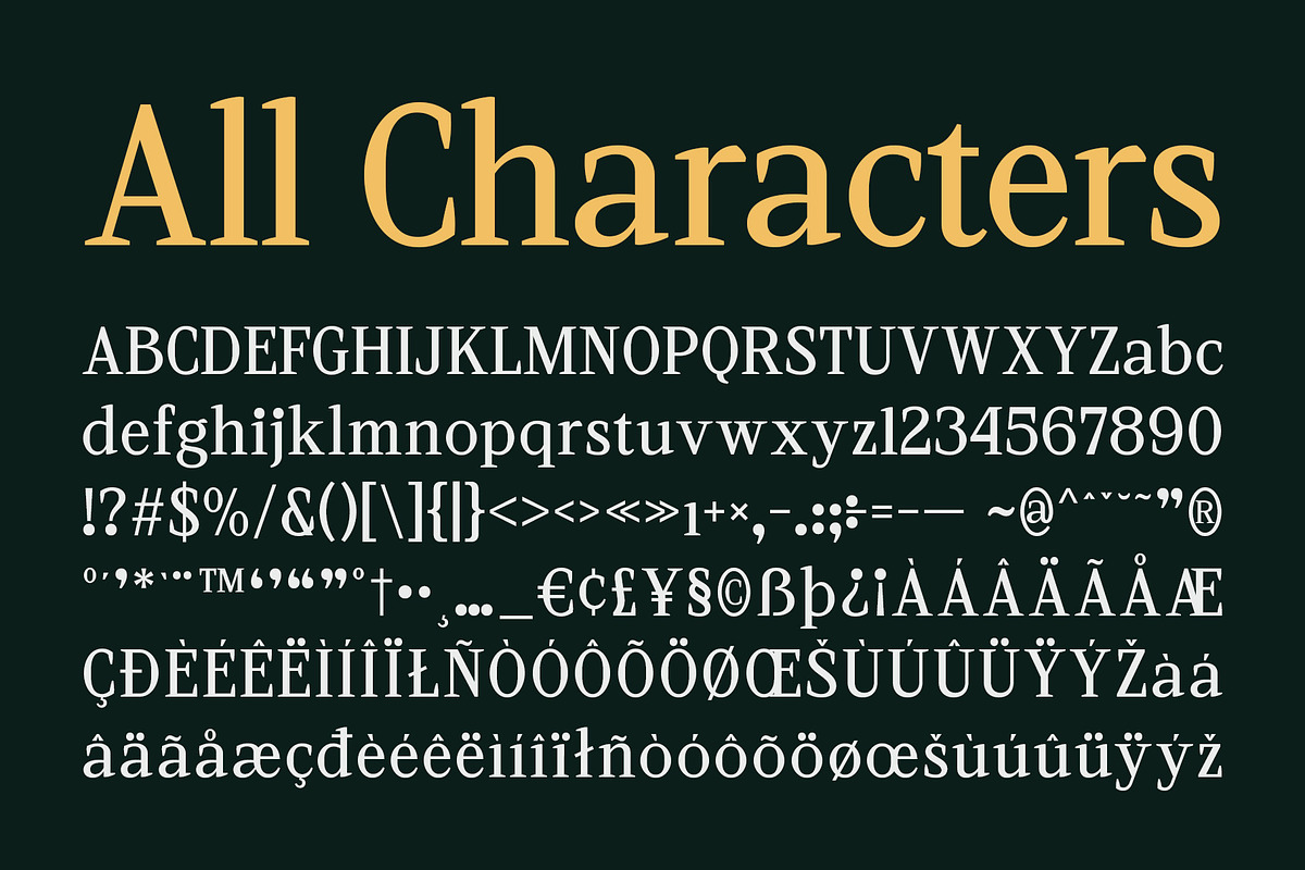CS Vincero – Contemporary Font, a Serif Font by Craft Supply Co. (Photo 8 of 8)
