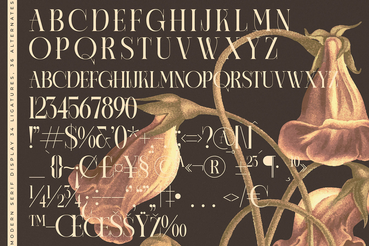 Caroowa Modern Serif Display, a Serif Font by timelesstype.co (Photo 18 of 20)