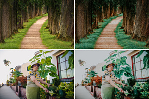 100. Moody Green Preset