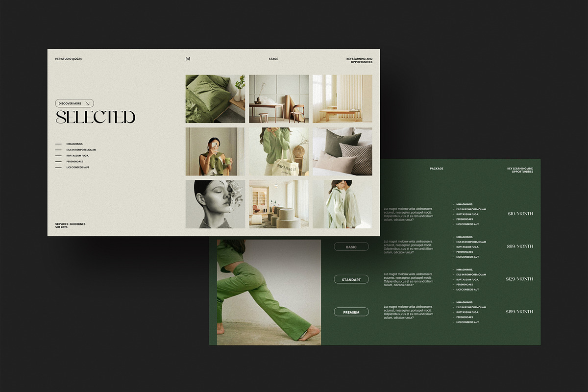 Services and Pricing Guide, a Presentation Template by S A N D Y (Photo 4 of 10)