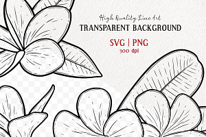 Plumeria Flower Vector Line Art Set