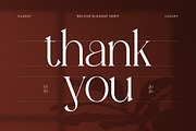 Belove – Modern Elegant Serif, a Serif Font by Mahesans Co (Thumbnail 11 of 11)