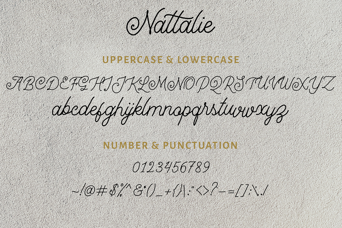 Nattalie Monoline Font, a Script Font by Analogous (Photo 12 of 13)