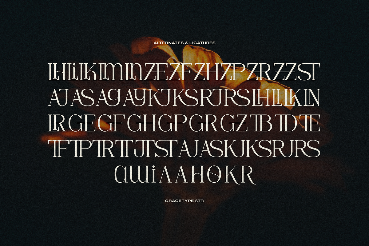 Hesay Verso | Display Classic Serif, a Serif Font by gracetype_studio (Photo 12 of 12)