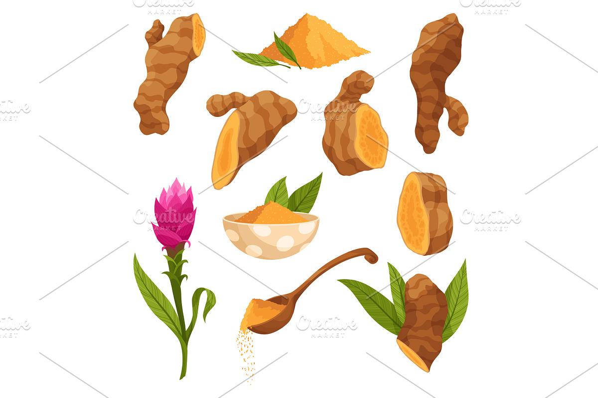Turmeric root plant, icon set, a Food Illustration by the8monkey