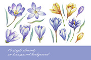 Spring flowers bundle PNG + patterns, an Illustration by Alena Kurian (Thumbnail 3 of 10)