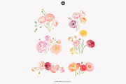 watercolor ranunculus clipart set, a Decorative Illustration by Patishop Art (Thumbnail 9 of 10)