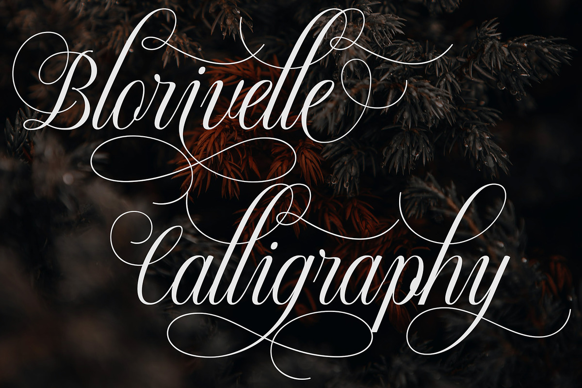 Blorivelle | Elegant Script Font, a Script Font by Typoraith Co (Photo 7 of 10)